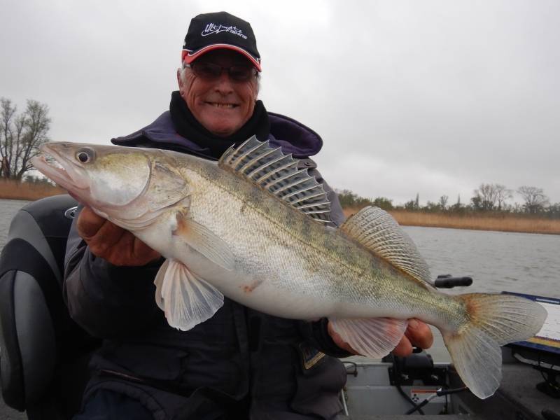 Pike-perch fishing in Belgium in winter