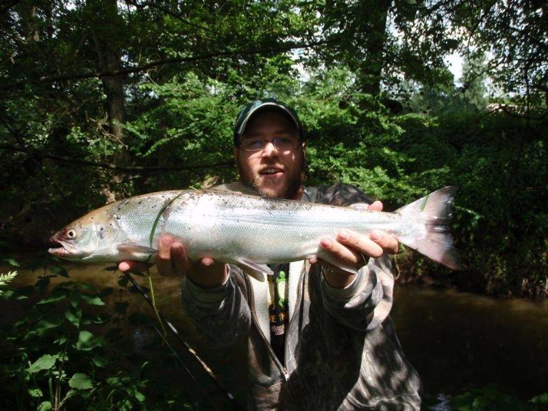 Salmon fishing in Brittany and Lower Normandy