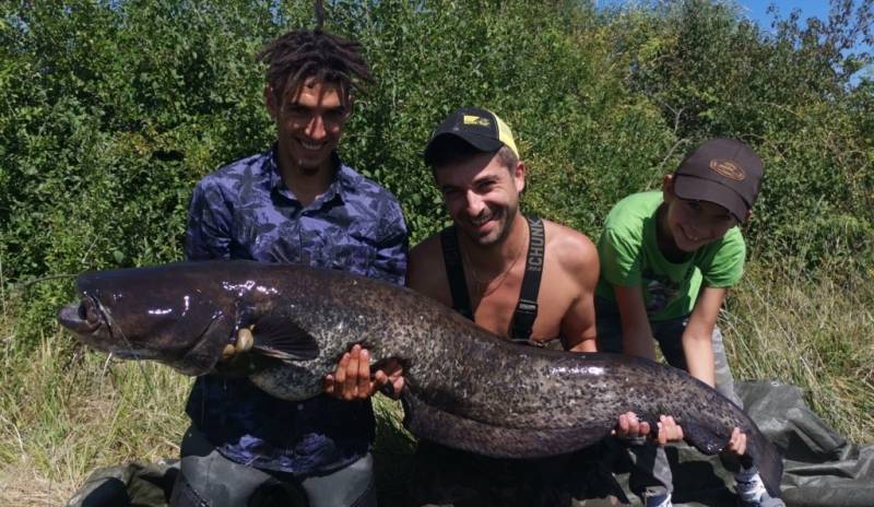 Pesca del siluro en Cassant, en el Doubs