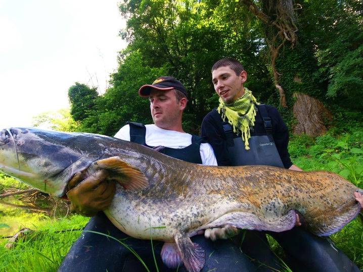 Catfish fishing in Indre