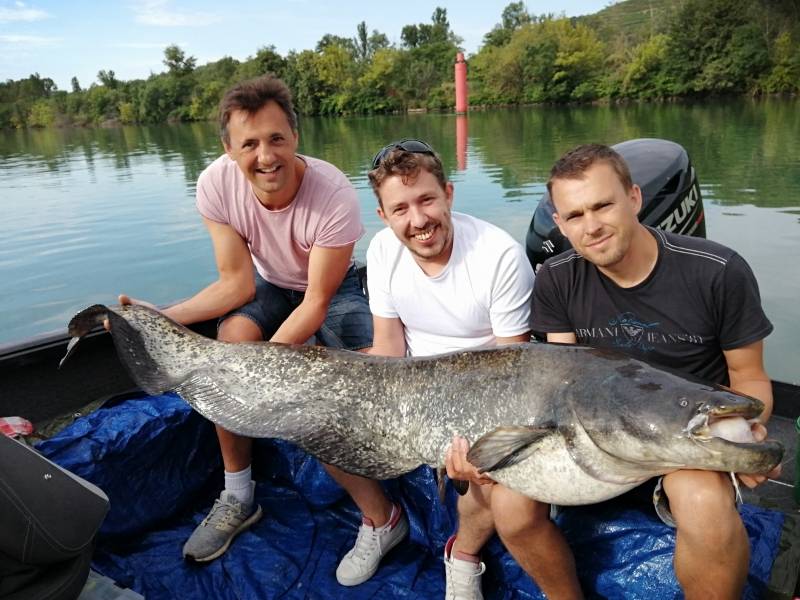 Catfish and carnivore fishing on the Rhône