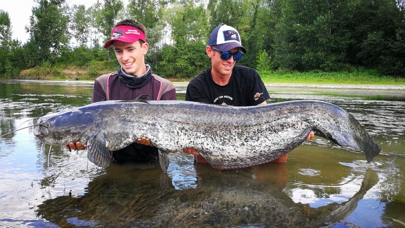 Pesca del siluro en el Lot