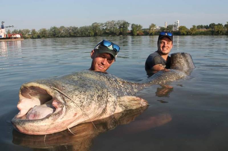 Catfish fishing on the Rhône