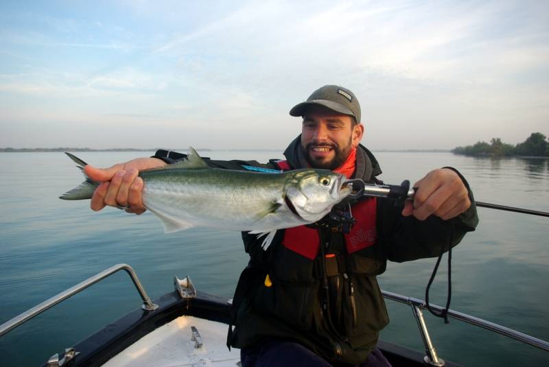 Pêche du tassergal sur le Delta du Rhône