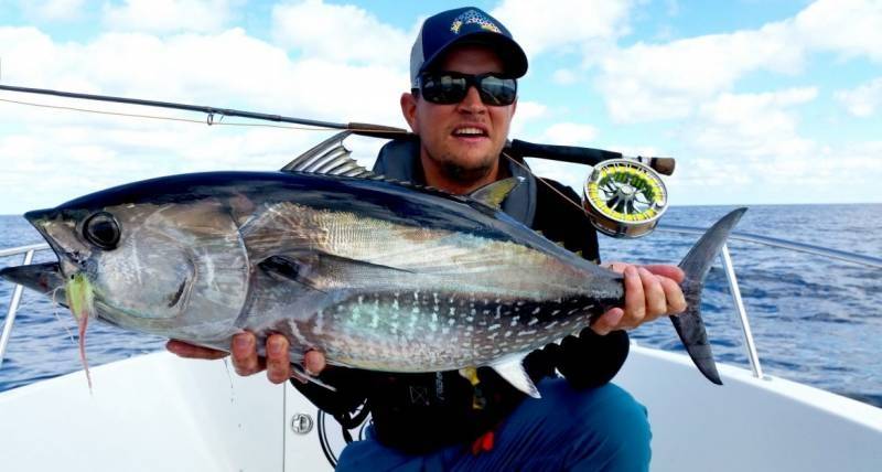 Fly fishing for bluefin tuna