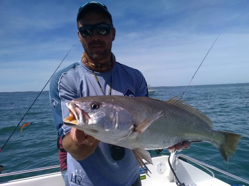 Pesca de pecios en la cuenca de Arcachon