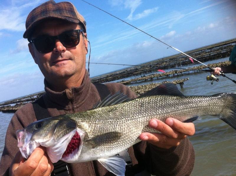 Lure fishing on the Ile de Ré