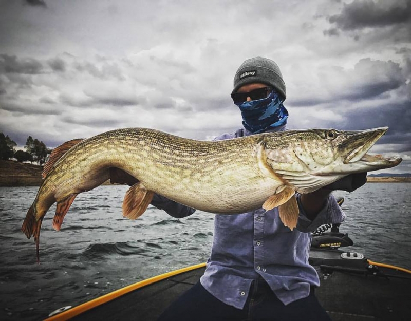 Extremadura giant pike fishing break