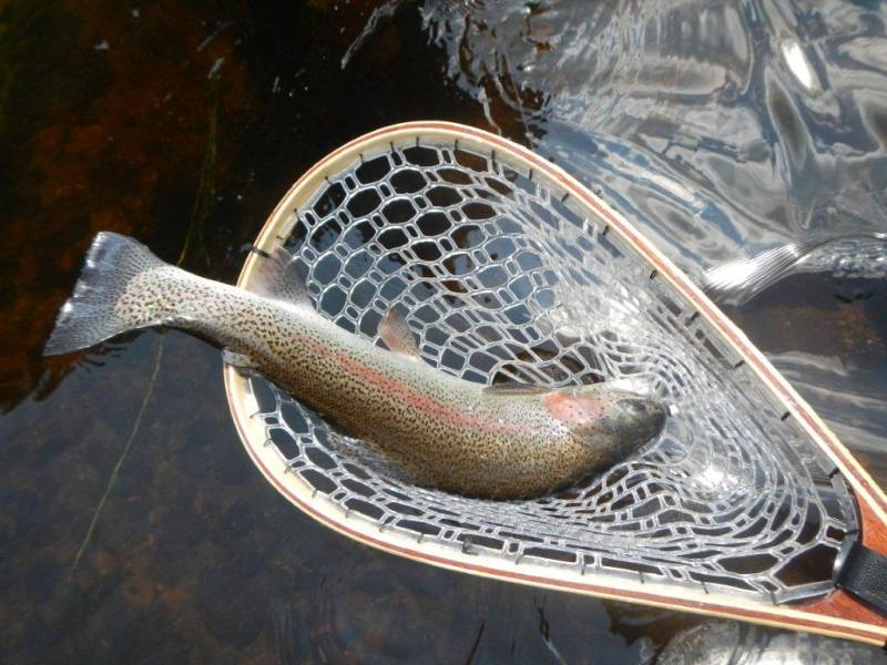 Stage de pêche à la mouche en Corrèze