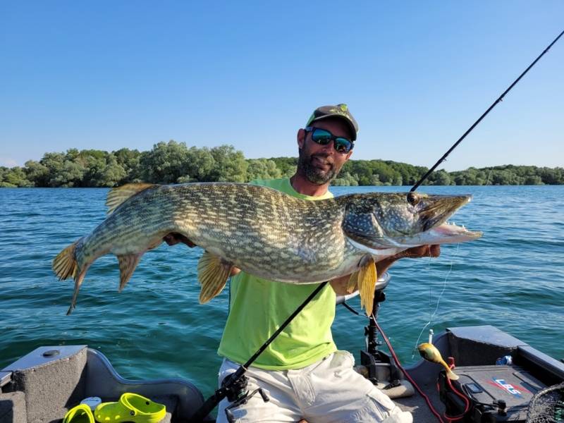 Pike and perch fishing course by boat on Lac du Der with fishing guide vincent de bruyne