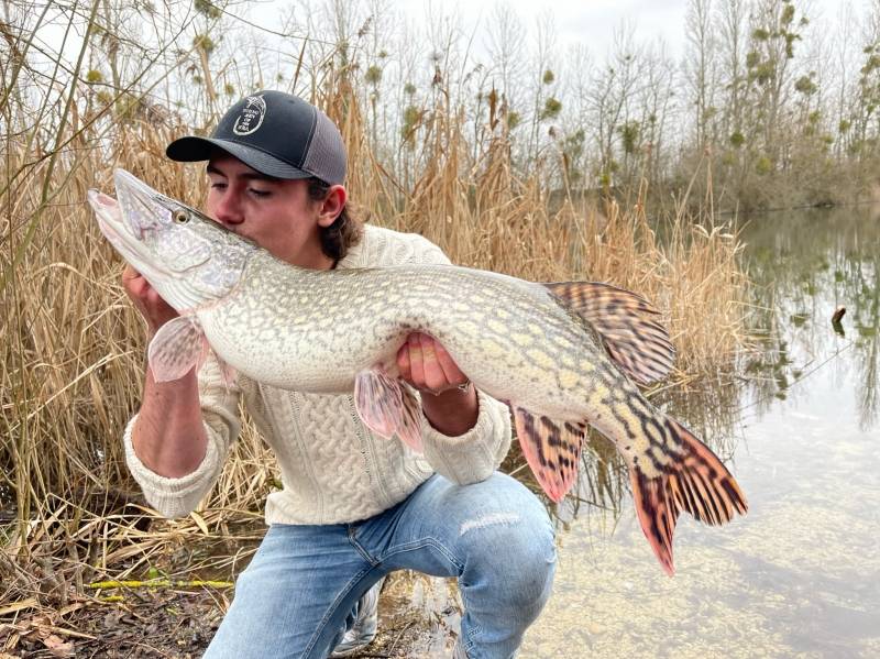 Guías de pesca carnívora en los ríos Sena e Yonne