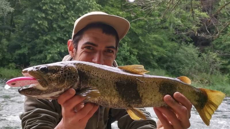 Lure fishing for trout on the Loue river