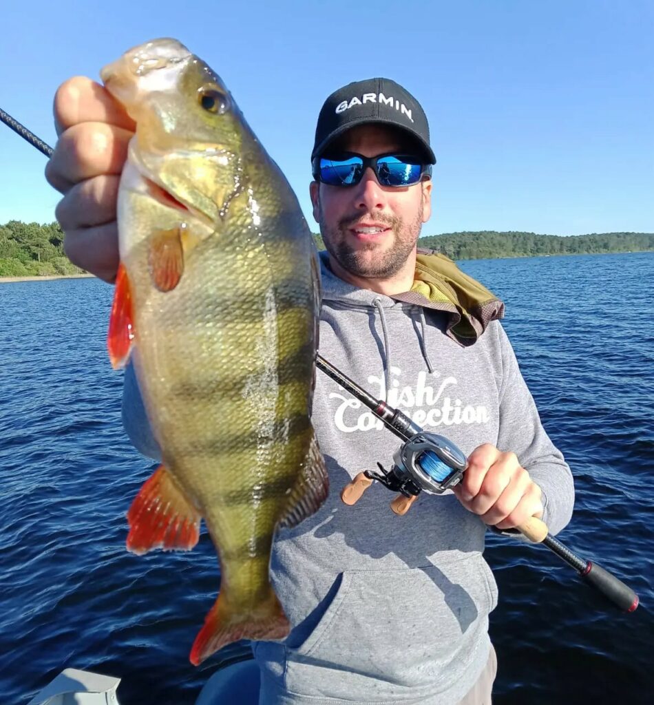 The micro jig for perch: Our tips for fishing with this fearsome lure ...