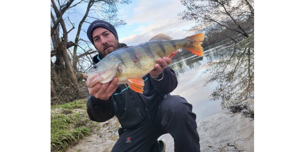 perche record de France 53 cm - Sébastien Houssin