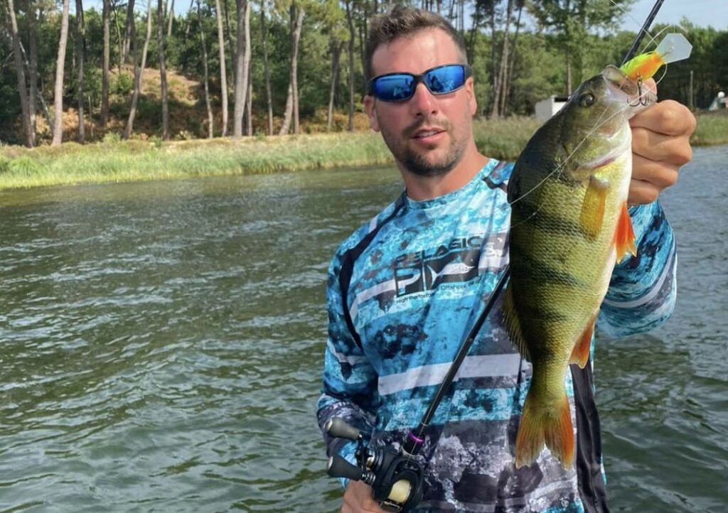 Best perch lure