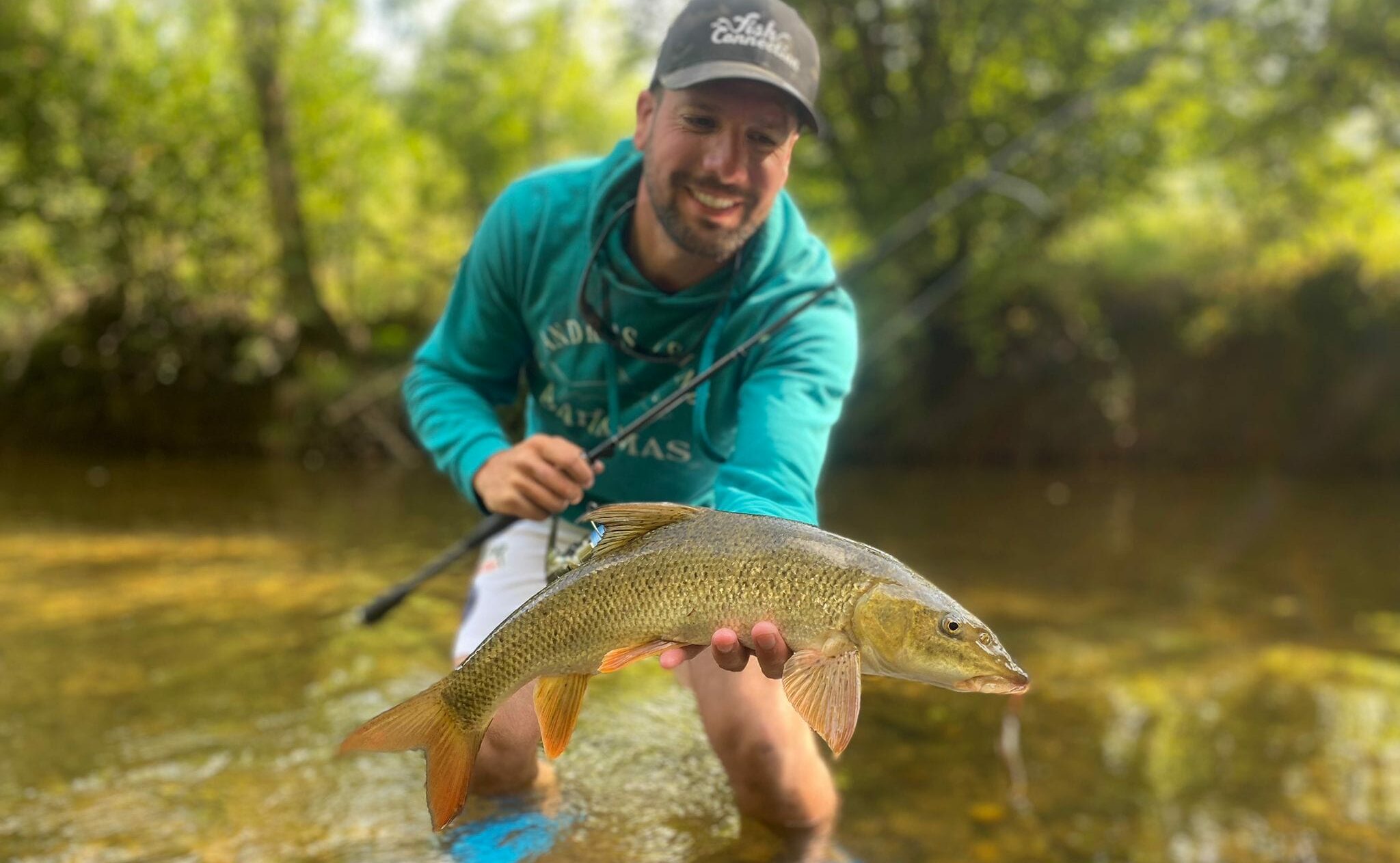 barbeau-poisson
