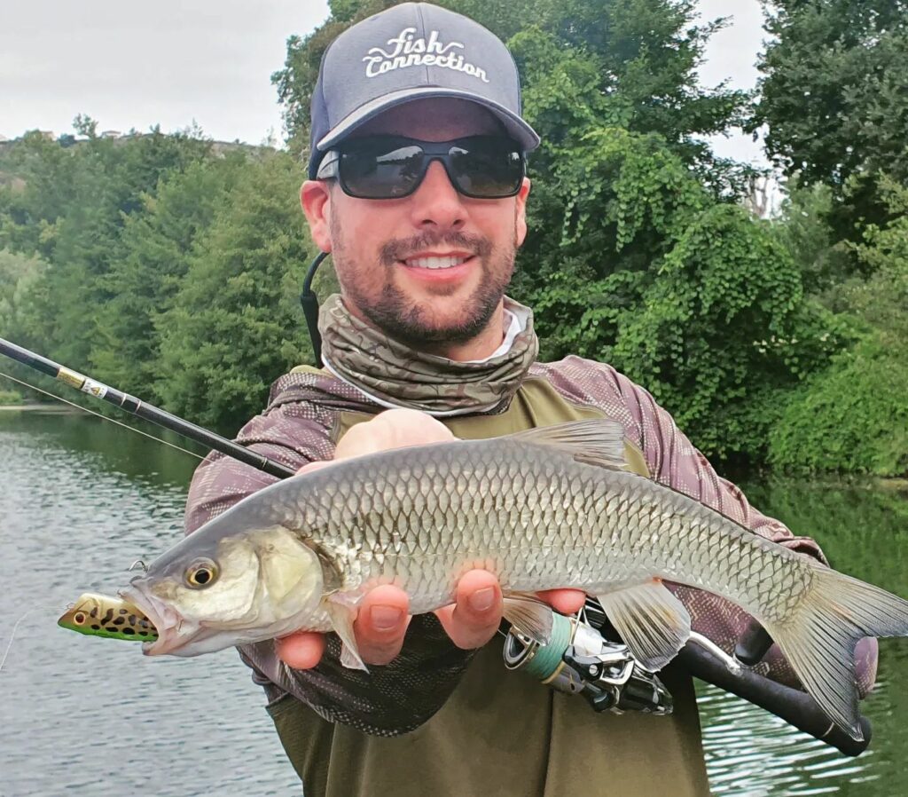 chub fishing with lures