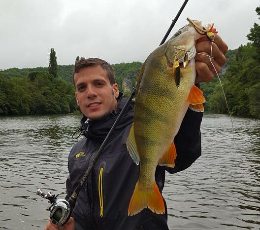 perche spinnerbait e1734089831542