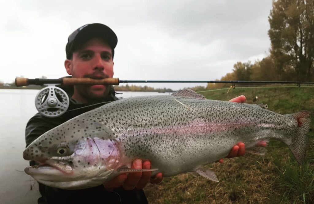 La truite arc-en-ciel : caractéristiques, habitat et techniques de pêche
