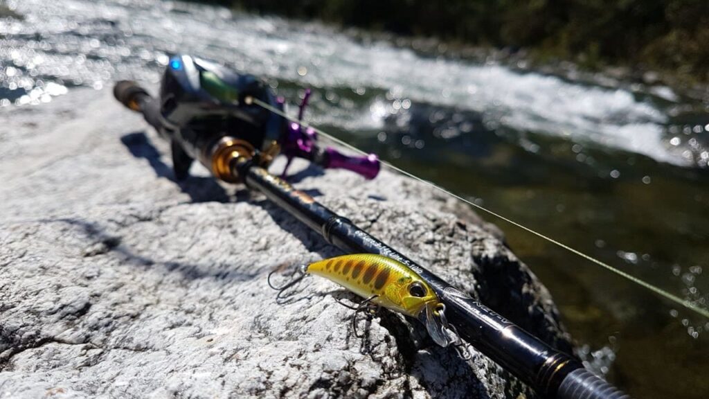Meilleur leurre à truite 2026