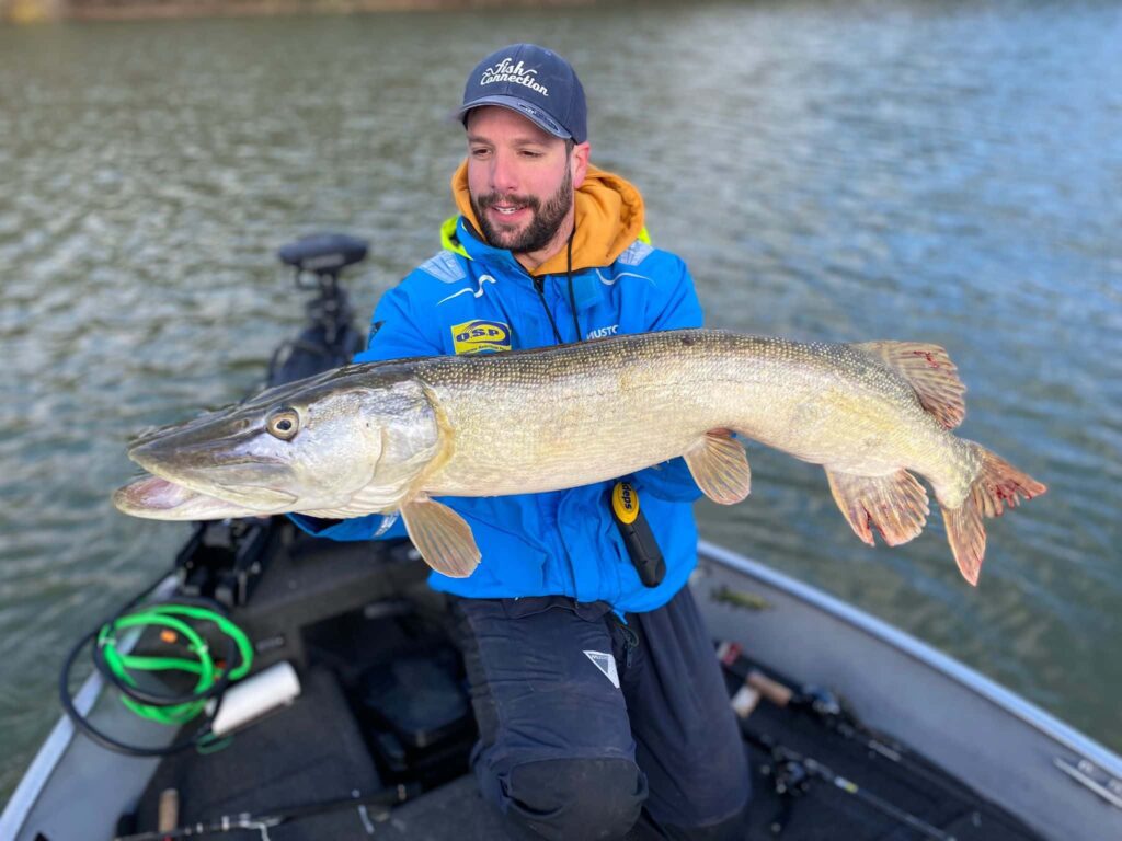 Ouverture de la pêche du brochet 2026 : Dates et réglementation