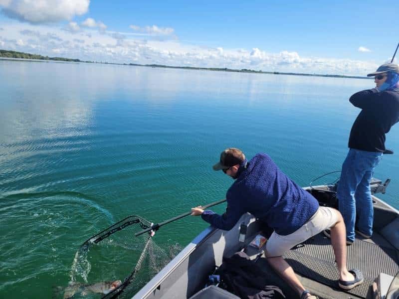 Ouverture de la pêche du brochet 2026