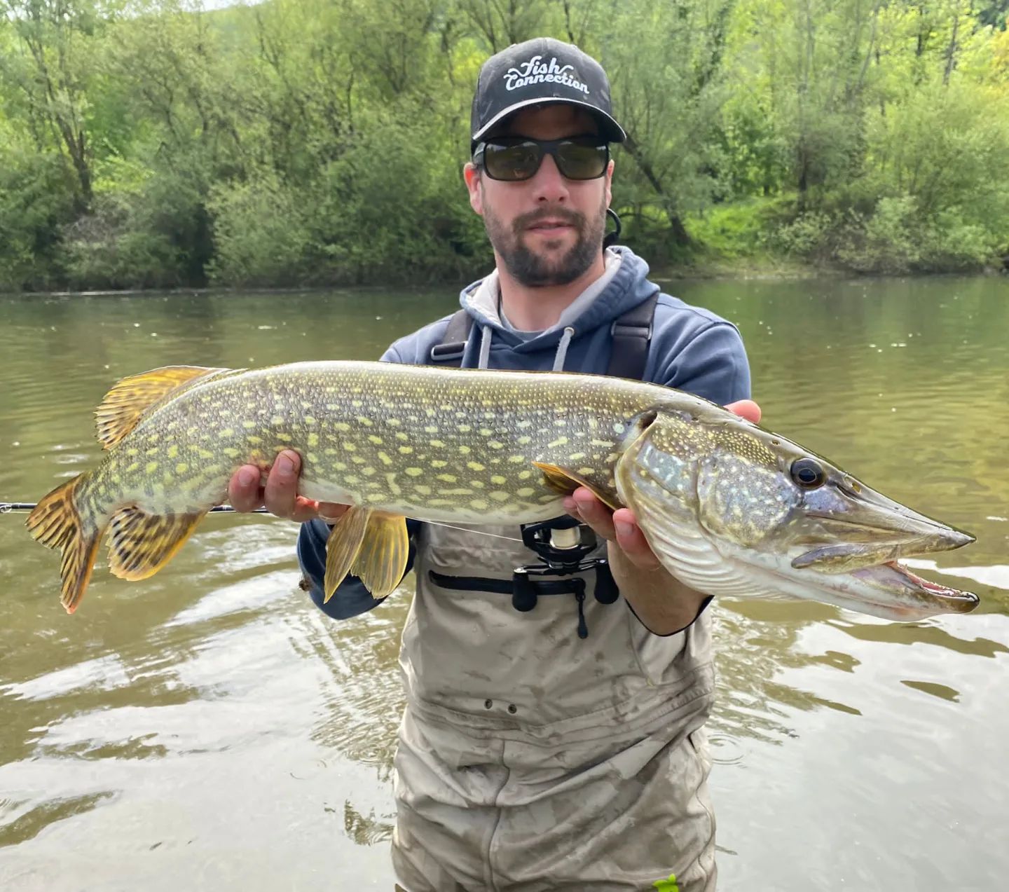 Pêcher le brochet en étang