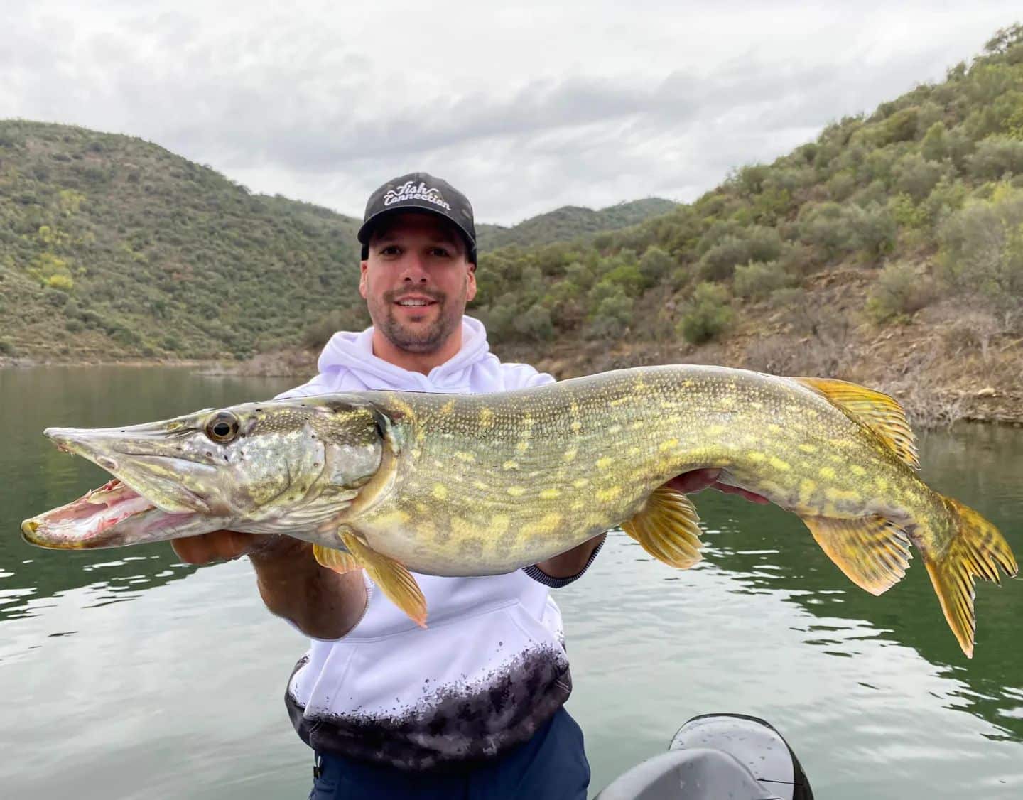 ouverture peche carnassier 2026