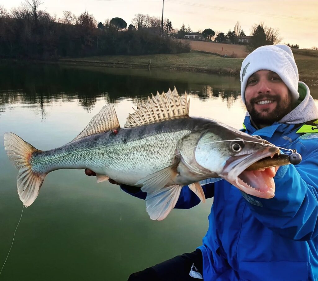 ouverture peche des carnassiers 2026