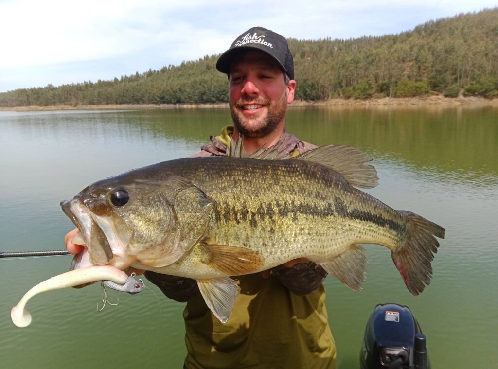 Black-bass : Le poisson sportif pris d'assaut par les pêcheurs français