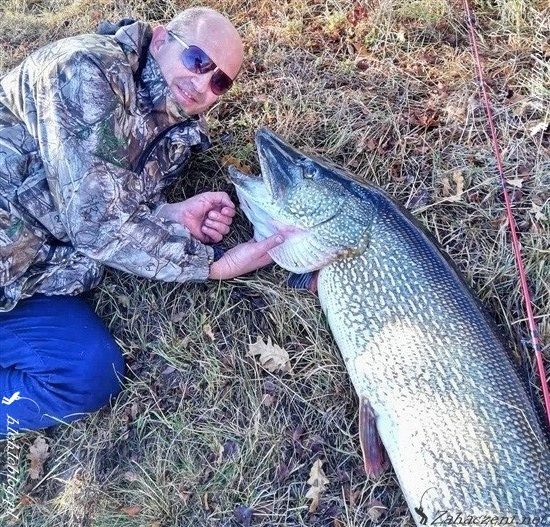 Brochet record Bulgarie