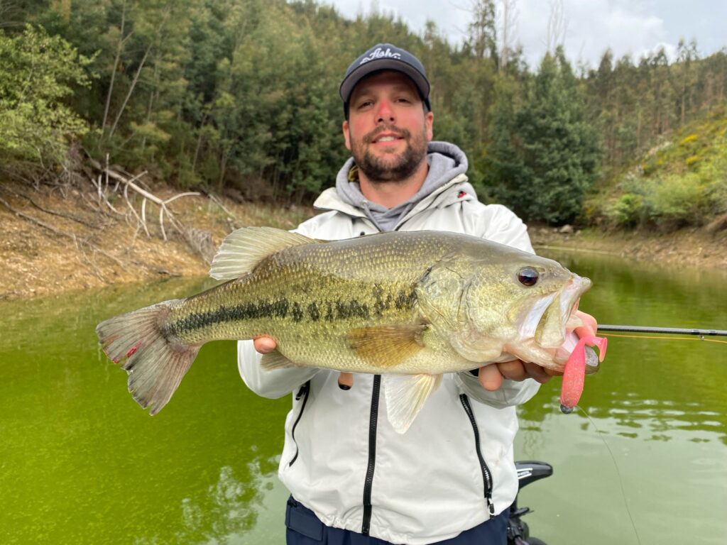 Caractéristiques du blackbass - un poisson captivant