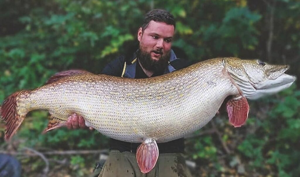 Record du brochet Republique tcheque