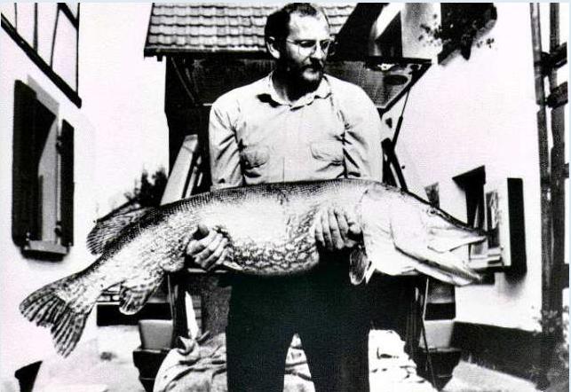 Le record du monde du brochet officiellement homologué