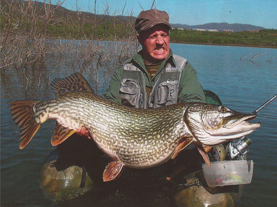 Record du monde du brochet - les plus gros brochets record
