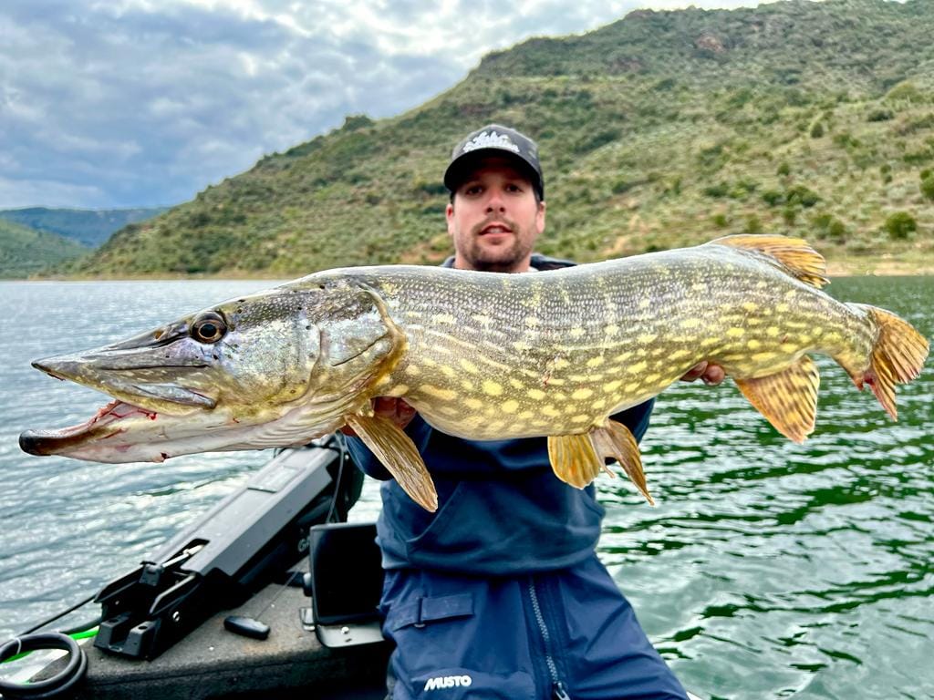 señuelo-big-bait-pike