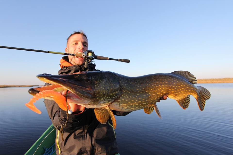 La pêche du brochet aux leurres