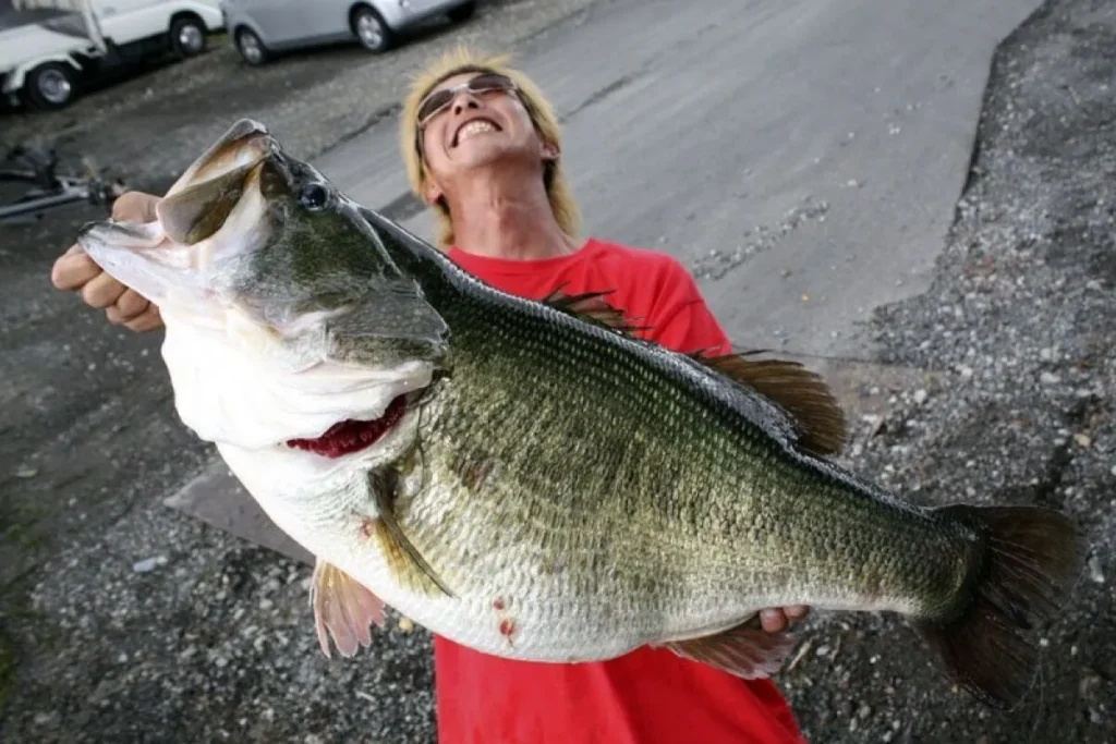 record du monde black bass