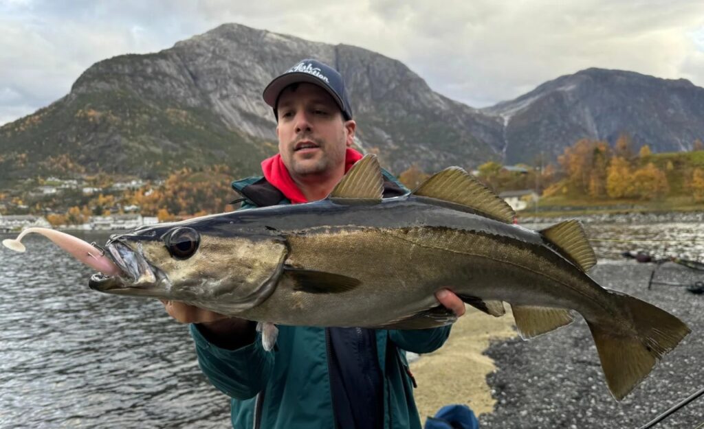 señuelo suave pesca en el mar