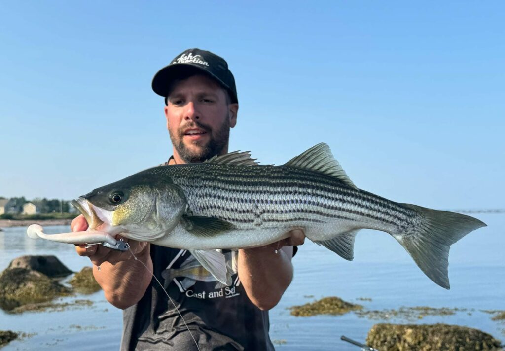 Pesca de lubina rayada con señuelos marinos