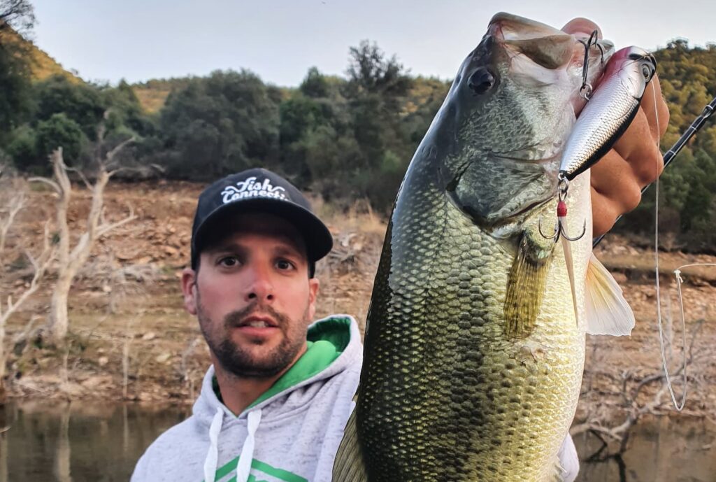 Pesca con popper