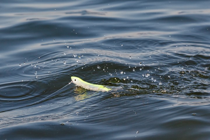 Quel leurre pour la pêche du bar ?