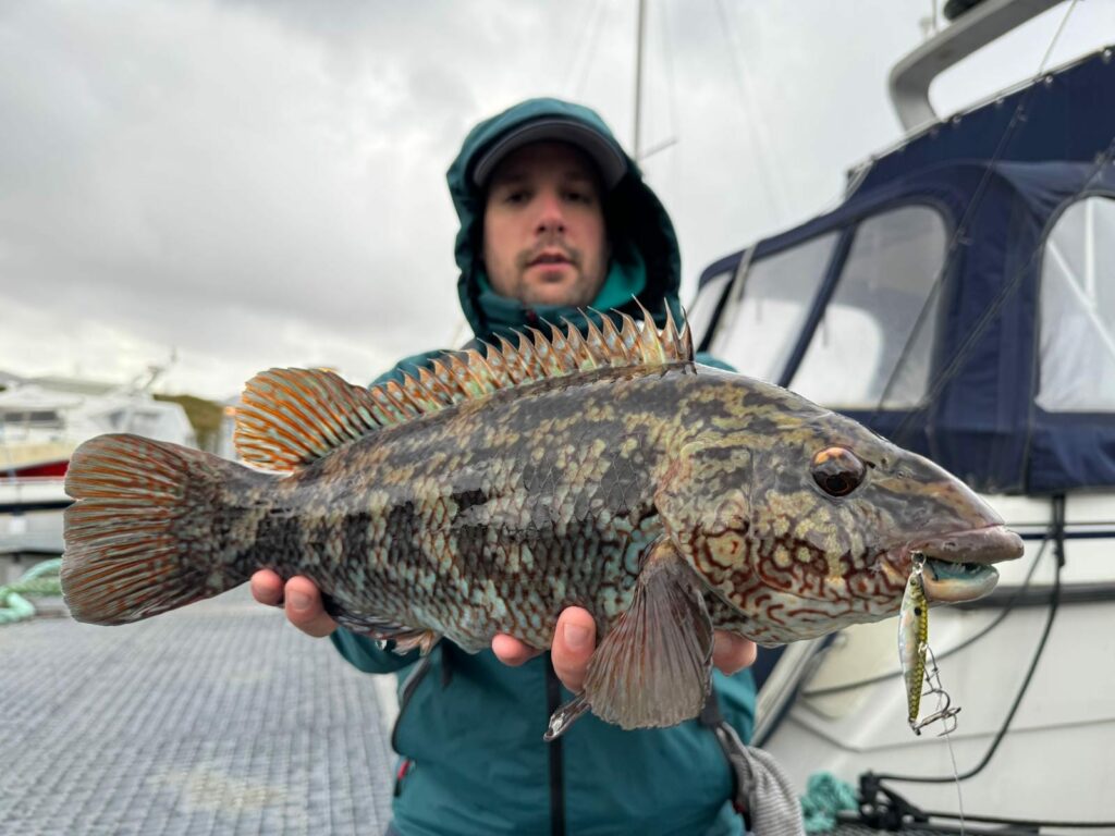 pesca en el mar con señuelos