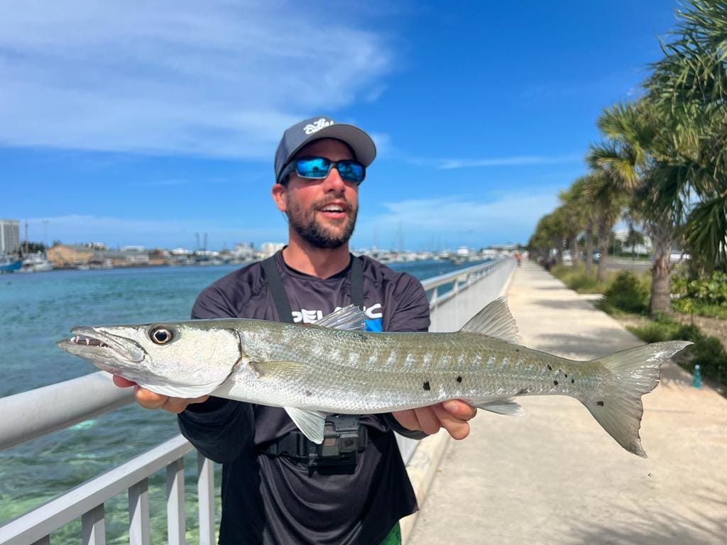pesca de orilla con señuelos para barracudas