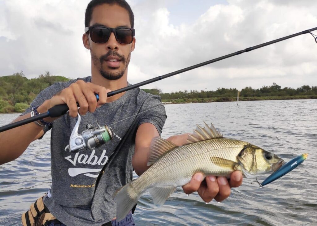 peche-leurre-bar-stickbait