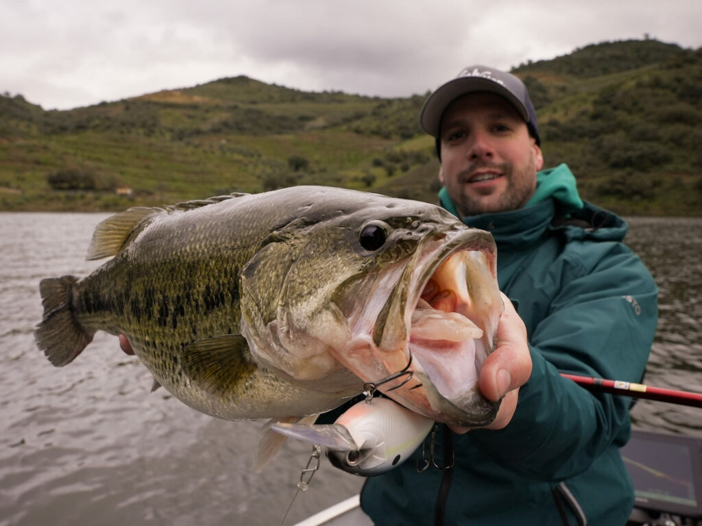 tamaño del black-bass