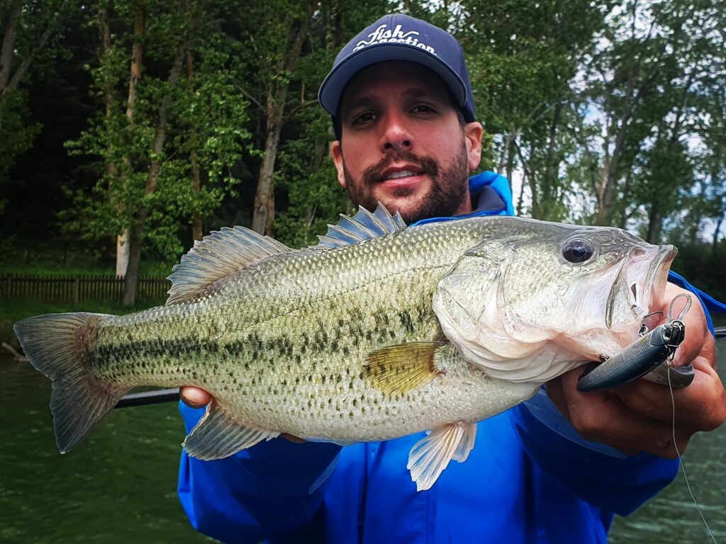tamaño del black bass