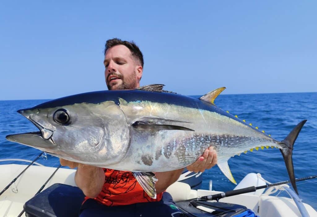 The Mediterranean, tuna and pelamids