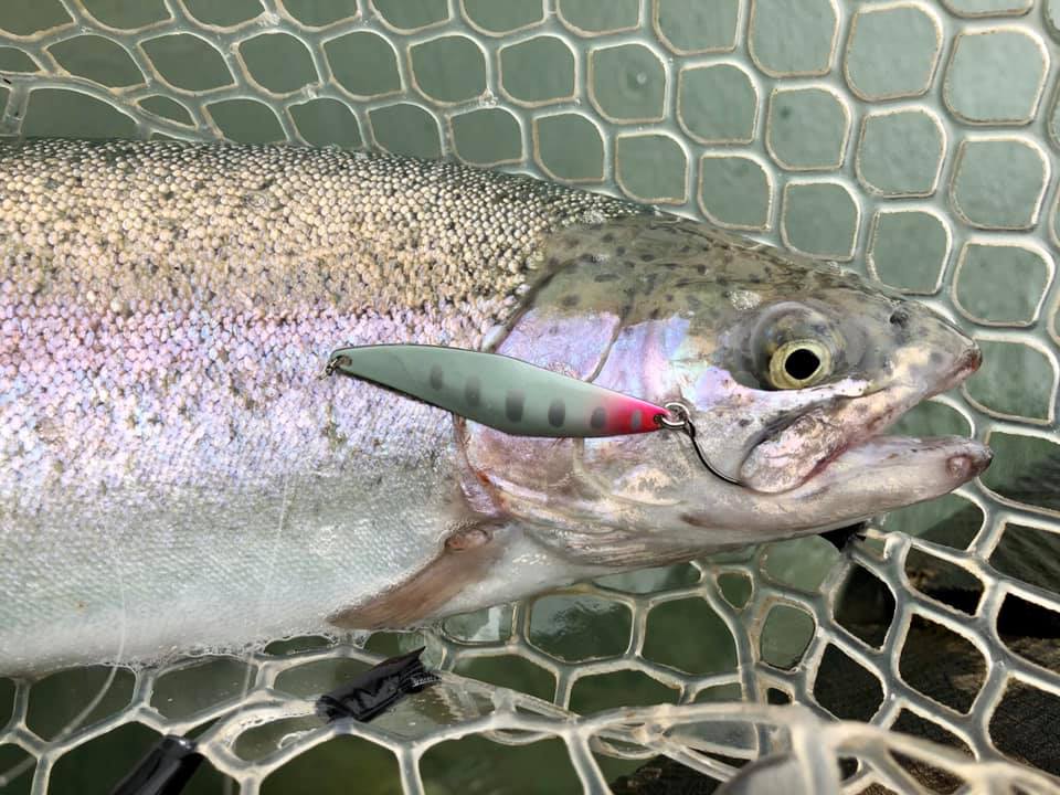 Trout fishing area