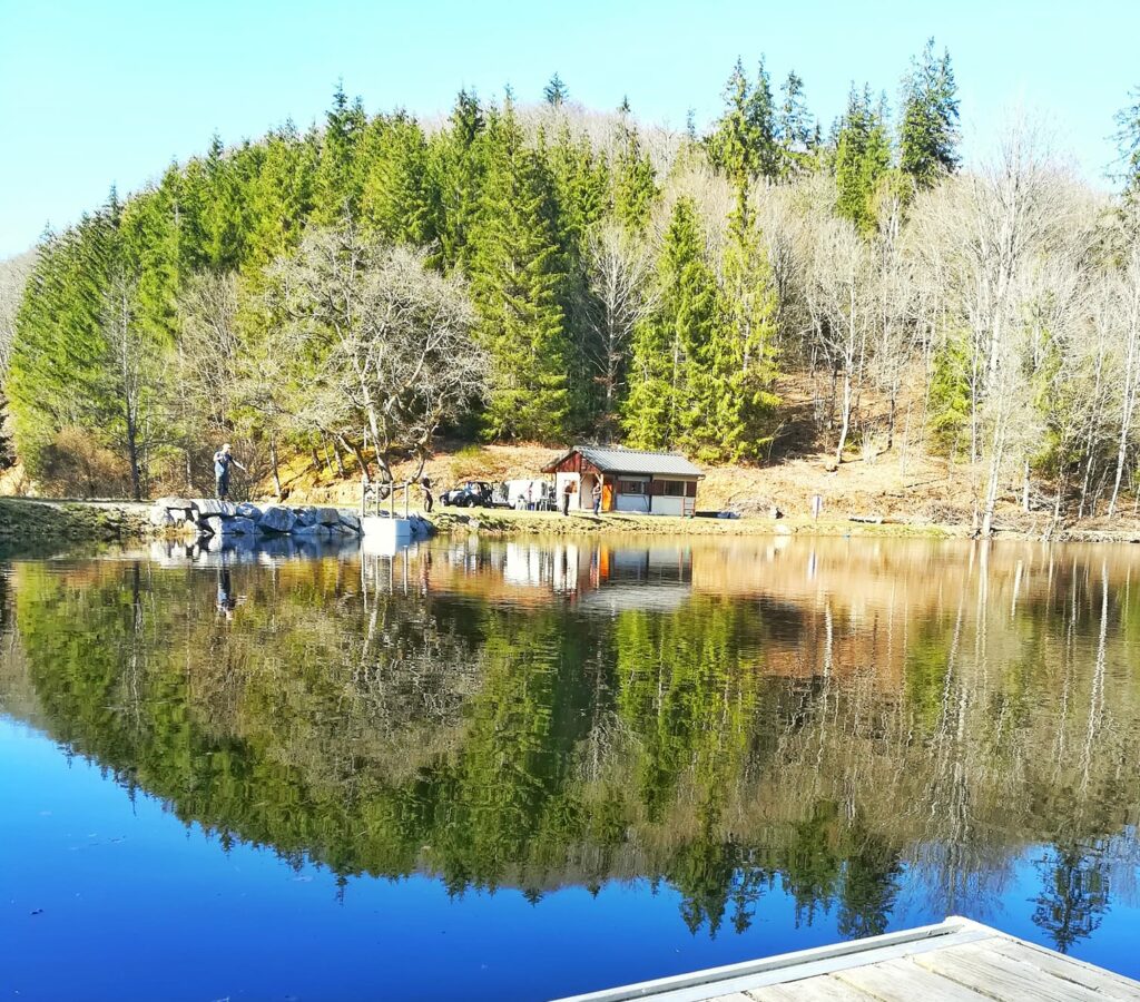 trout fishing area